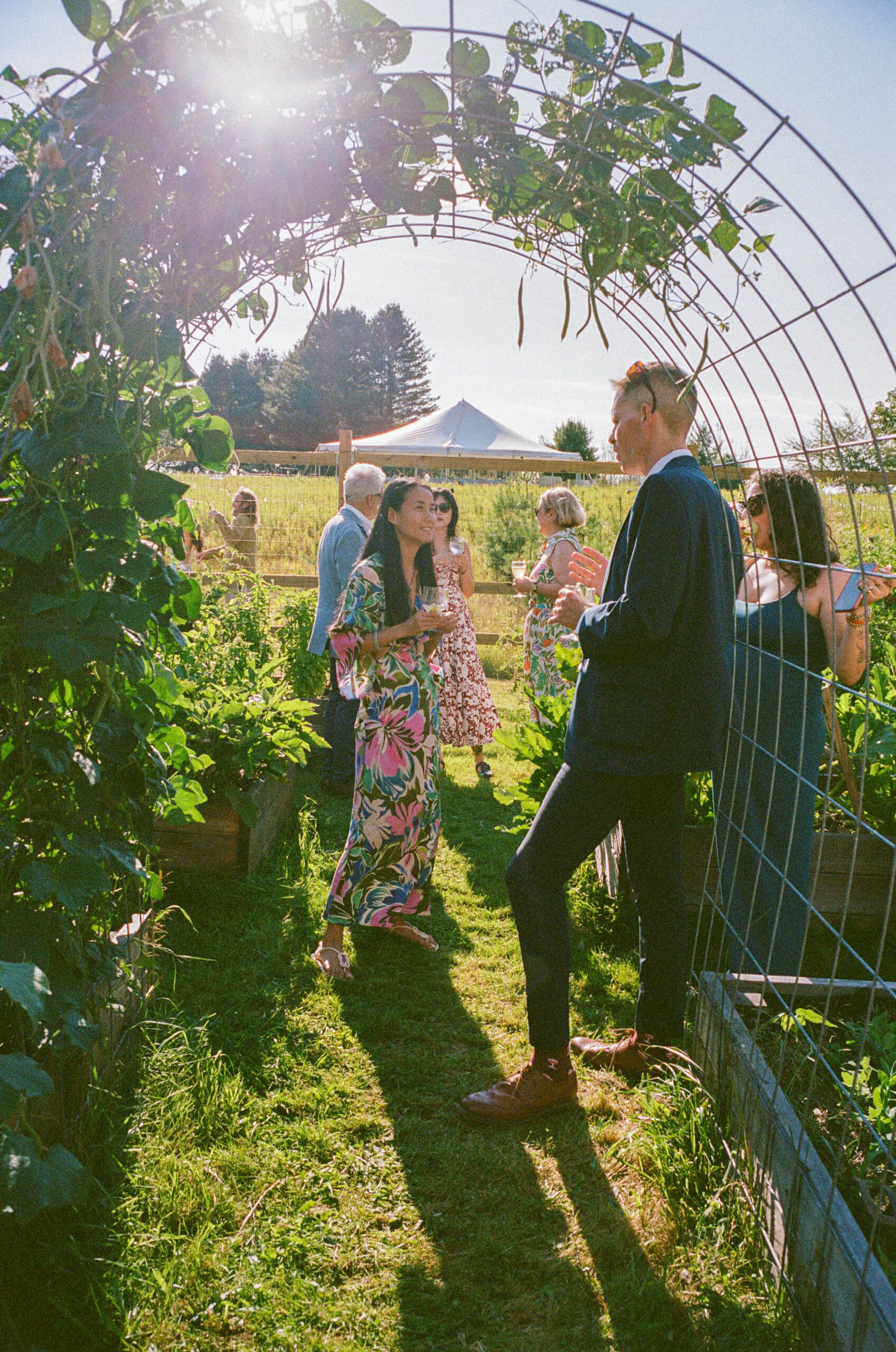Outdoor wedding ceremony beneath a garden arch in a sunlit field